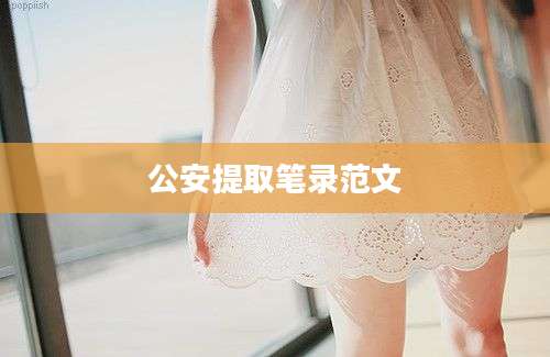 公安提取笔录范文
