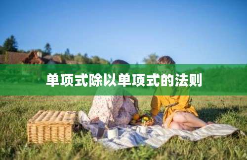 单项式除以单项式的法则