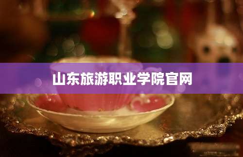 山东旅游职业学院官网