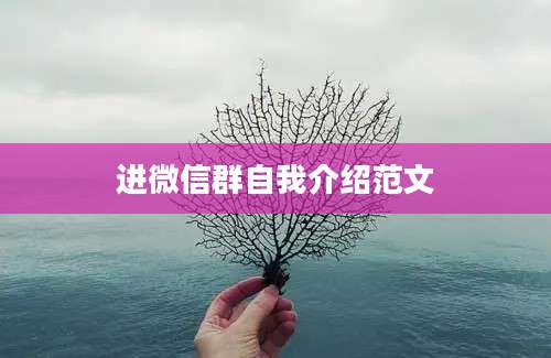 进微信群自我介绍范文