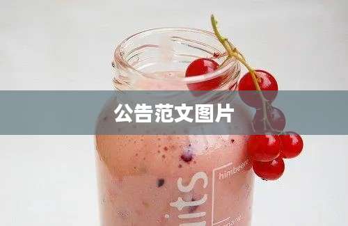公告范文图片