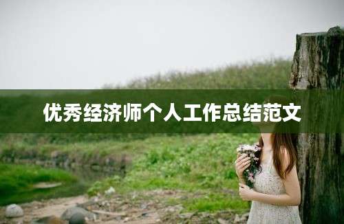 优秀经济师个人工作总结范文