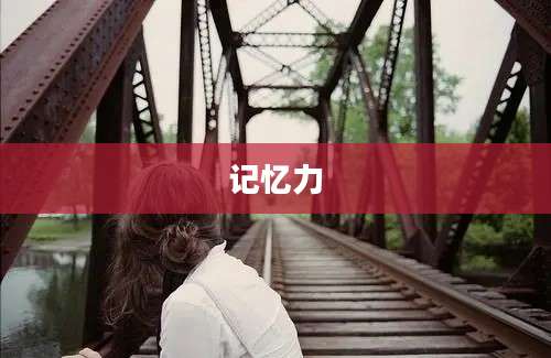 记忆力