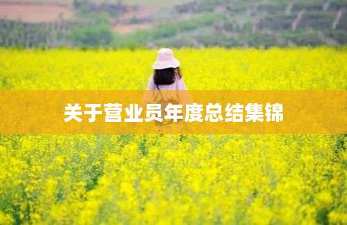 关于营业员年度总结集锦