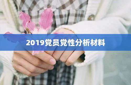 2019党员党性分析材料