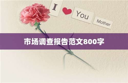 市场调查报告范文800字