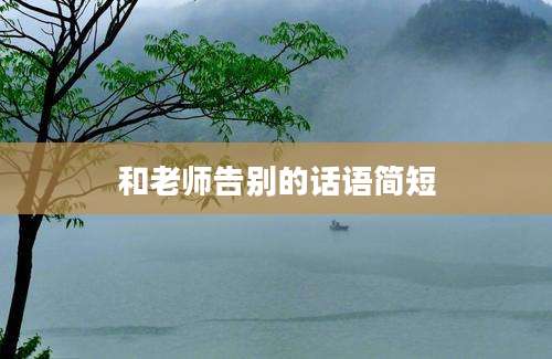 和老师告别的话语简短