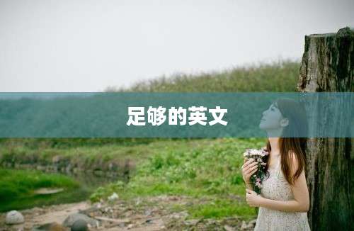 足够的英文
