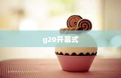 g20开幕式