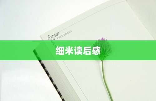 细米读后感