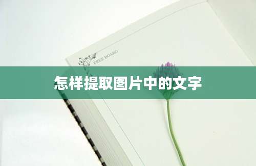 怎样提取图片中的文字