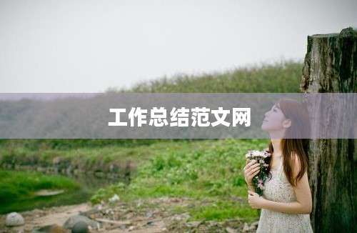工作总结范文网