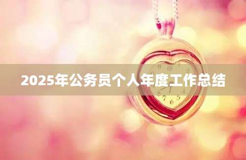 2025年公务员个人年度工作总结