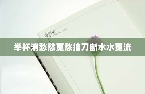 举杯消愁愁更愁抽刀断水水更流