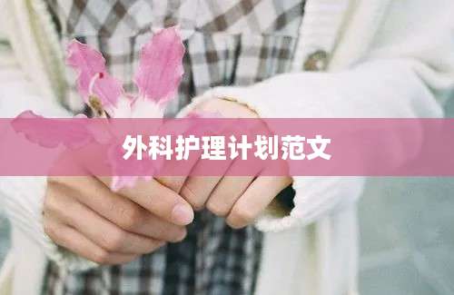 外科护理计划范文