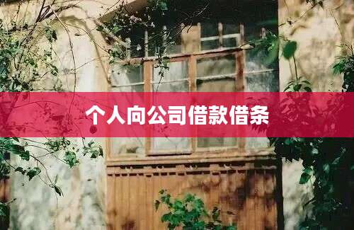 个人向公司借款借条