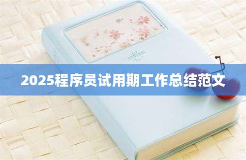 2025程序员试用期工作总结范文