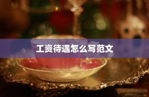 工资待遇怎么写范文