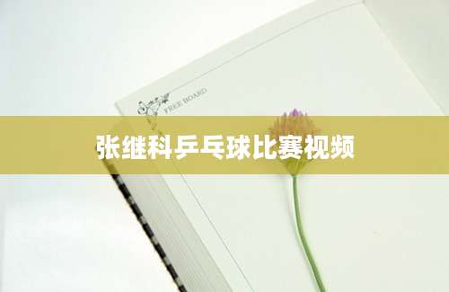张继科乒乓球比赛视频