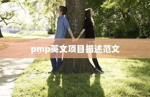 pmp英文项目描述范文