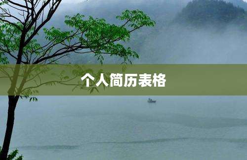 个人简历表格