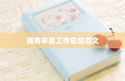 商务年度工作总结范文