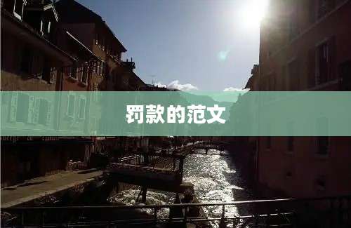 罚款的范文