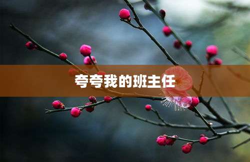 夸夸我的班主任
