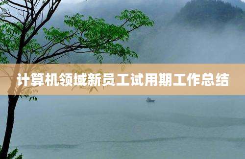 计算机领域新员工试用期工作总结