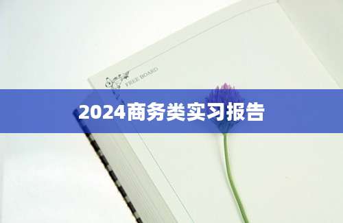 2024商务类实习报告