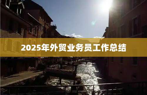 2025年外贸业务员工作总结