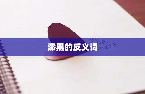 漆黑的反义词