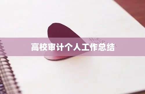 高校审计个人工作总结