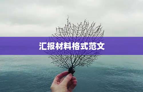 汇报材料格式范文