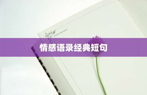 情感语录经典短句