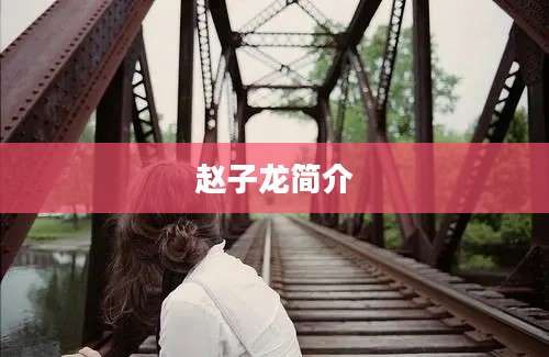 赵子龙简介