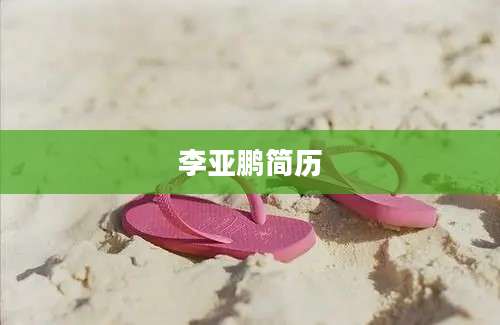 李亚鹏简历