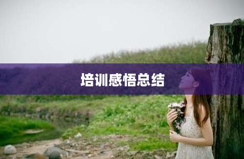 培训感悟总结