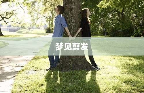 梦见剪发