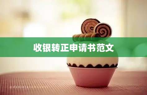 收银转正申请书范文