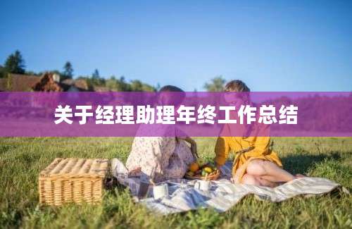 关于经理助理年终工作总结