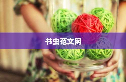 书虫范文网