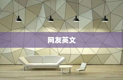 网友英文