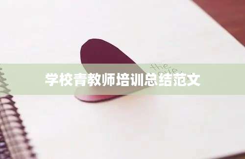 学校青教师培训总结范文