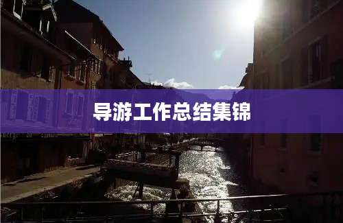 导游工作总结集锦