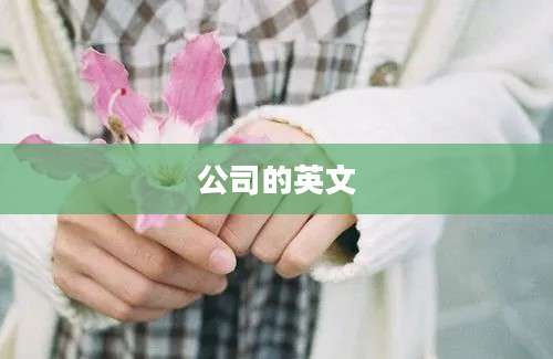 公司的英文