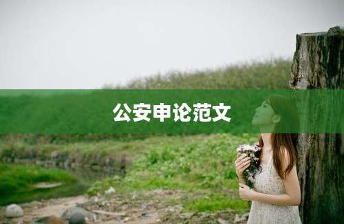 公安申论范文