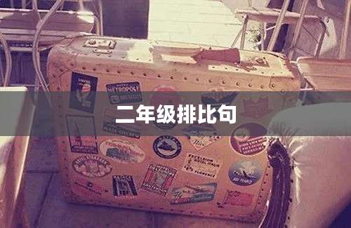 二年级排比句