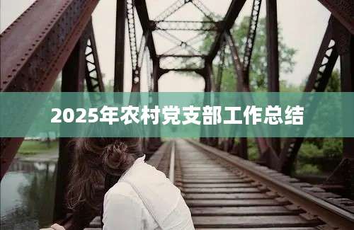 2025年农村党支部工作总结