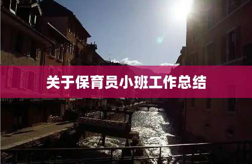 关于保育员小班工作总结